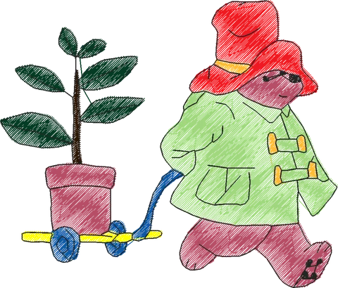 Paddington Bear2 (14)